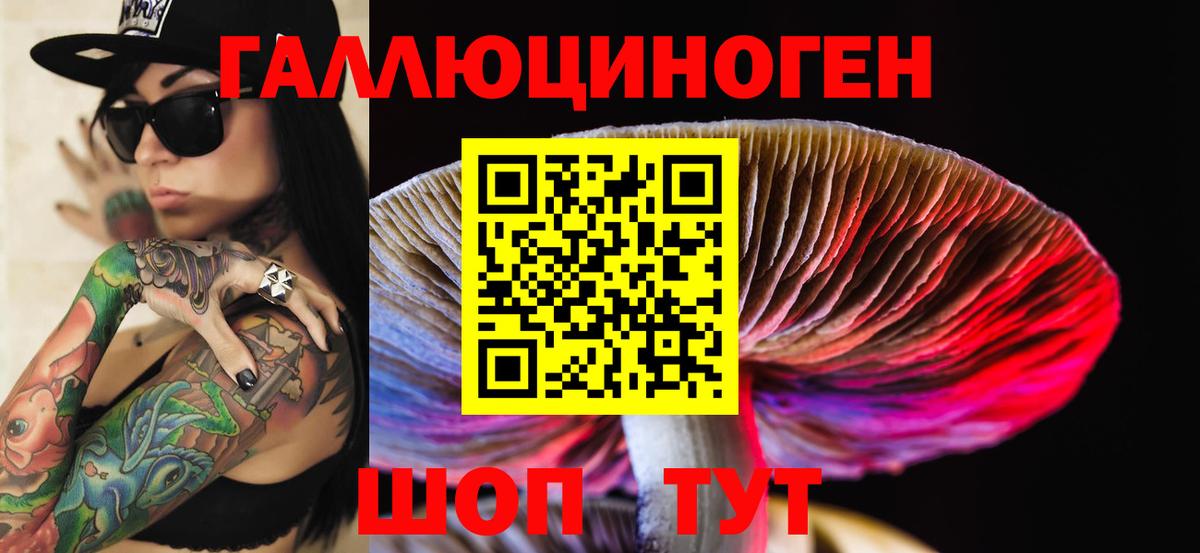 Рыбинск  магазин    Вход с VPN  Галлюциногенные грибы Cubensis 